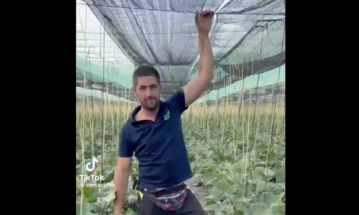 Mensaje de este trabajador del campo para el Ministro por las sandías de Marruecos