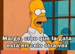 Mujeres haciendo lo suyo