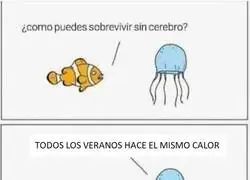 Siempre la misma historia