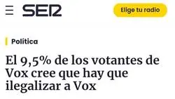 Tremendo esto de los votantes de VOX