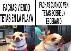 La derecha y su indignaci&oacute;n