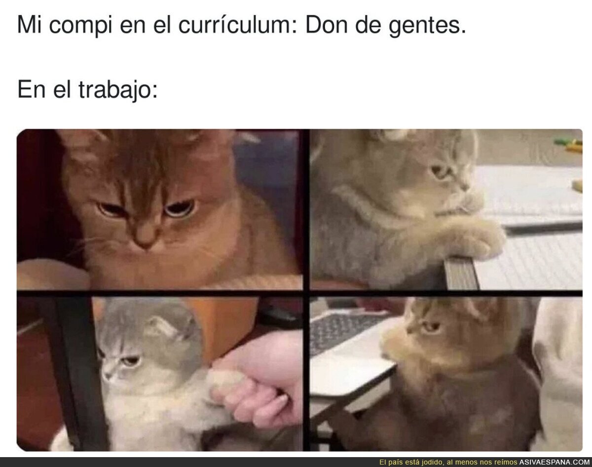 Odia a todo el mundo