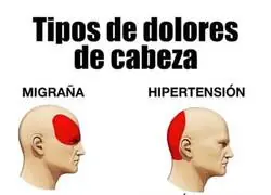 No puedo m&aacute;s con Feij&oacute;o