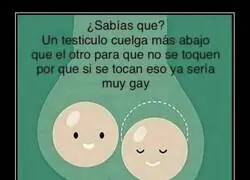 Un secreto que no sab&iacute;as