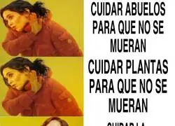 Lo que gusta a Ayuso