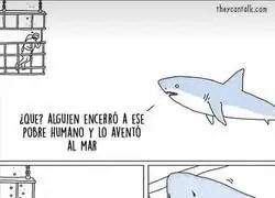 &Eacute;l solo quer&iacute;a ayudar