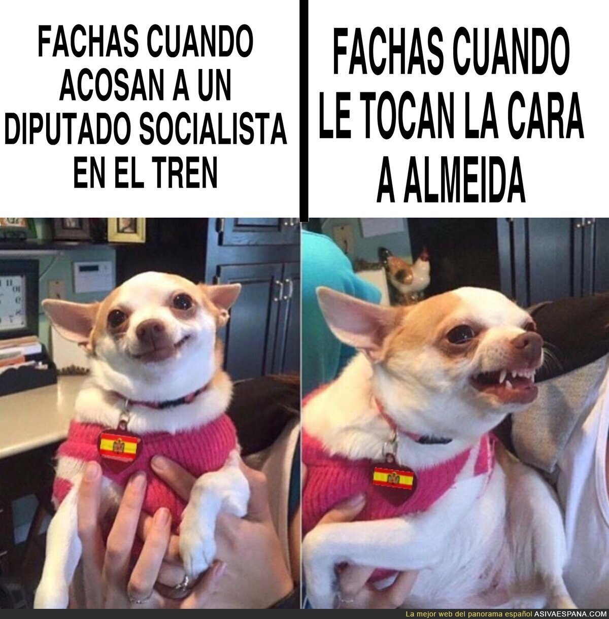 La doble cara de la derecha