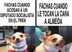 La doble cara de la derecha