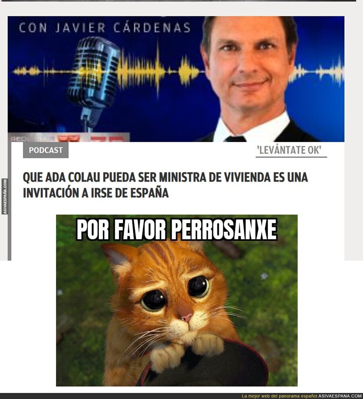¡Por favor Perro Sanxe!