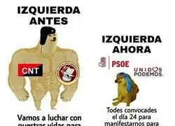 Votante zurdo promedio