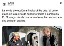 La ley de protecci&oacute;n animal y las novedades que trae