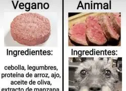 Diferentes animales