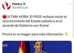 La promesa de Pedro S&aacute;nchez en 2015 sobre el Estado Palestino