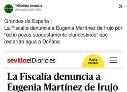 As&iacute; funcionan los patriotas