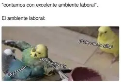Tremenda la que hay liada