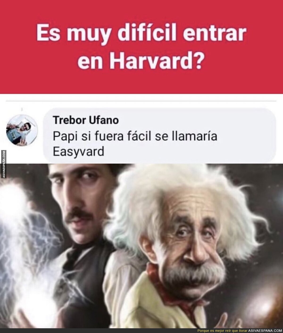 Todo tiene sentido