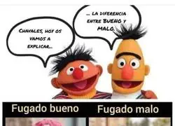 Diferentes tipos de fugados