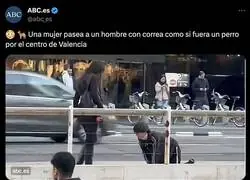 Surrealista lo ocurrido en plena calle