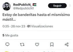 Cansado de banderitas