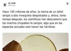 As&iacute; ha evolucionado todo desde entonces