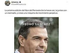 Genialidad con el libro de Pedro S&aacute;nchez