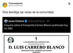 Gracias por tanto internet y a la comunidad de X