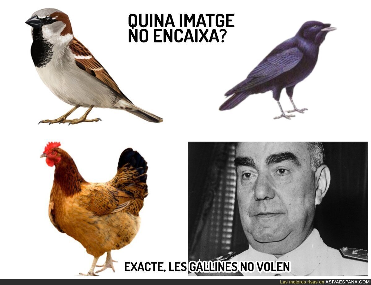 Todo un pionero el Carrero Blanco