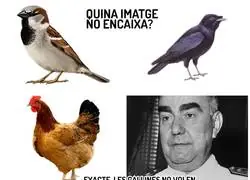 Todo un pionero el Carrero Blanco