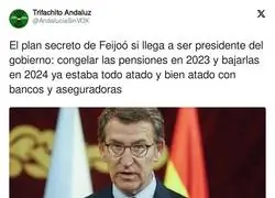 As&iacute; planeaba todo Feij&oacute;o