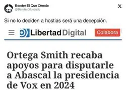 Futuro incierto en VOX