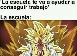 As&iacute; son las escuelas