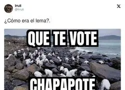 Vuelve el l&iacute;o a Galicia