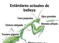 La perfecci&oacute;n al completo