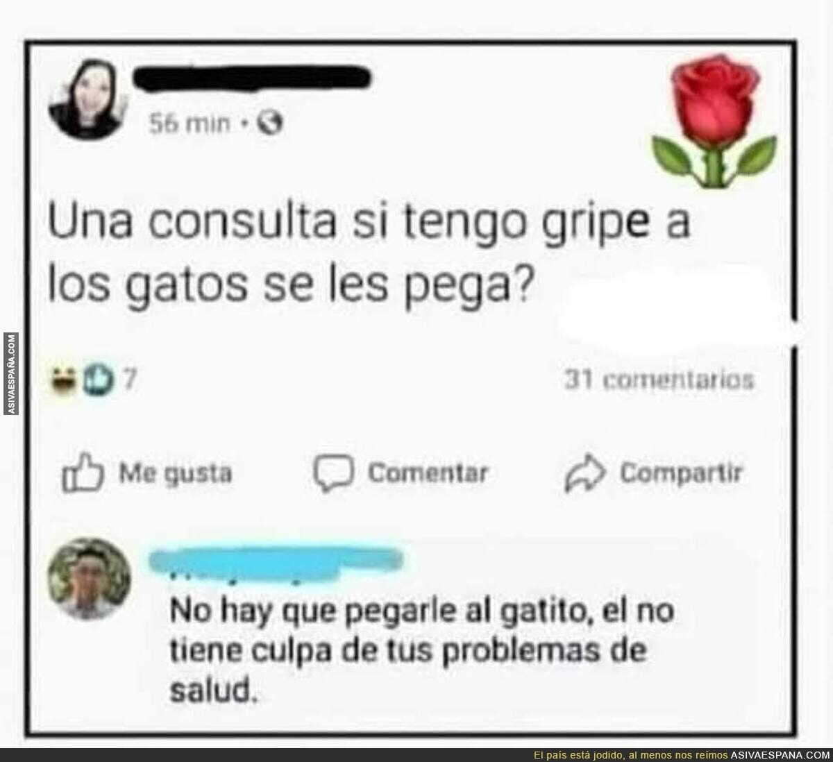 Duda sobre los gatos