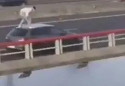 Este chaval se lanza desde el techo de un coche a la r&iacute;a mientras circulaba por el viaducto de Colindres