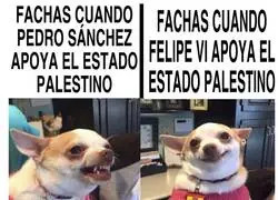 Otra decepci&oacute;n m&aacute;s con Felpudo VI