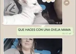 Nuevo miembro de la familia