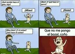 Sonidos reconocidos por un beb&eacute;