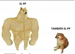 Las dos caras del PP