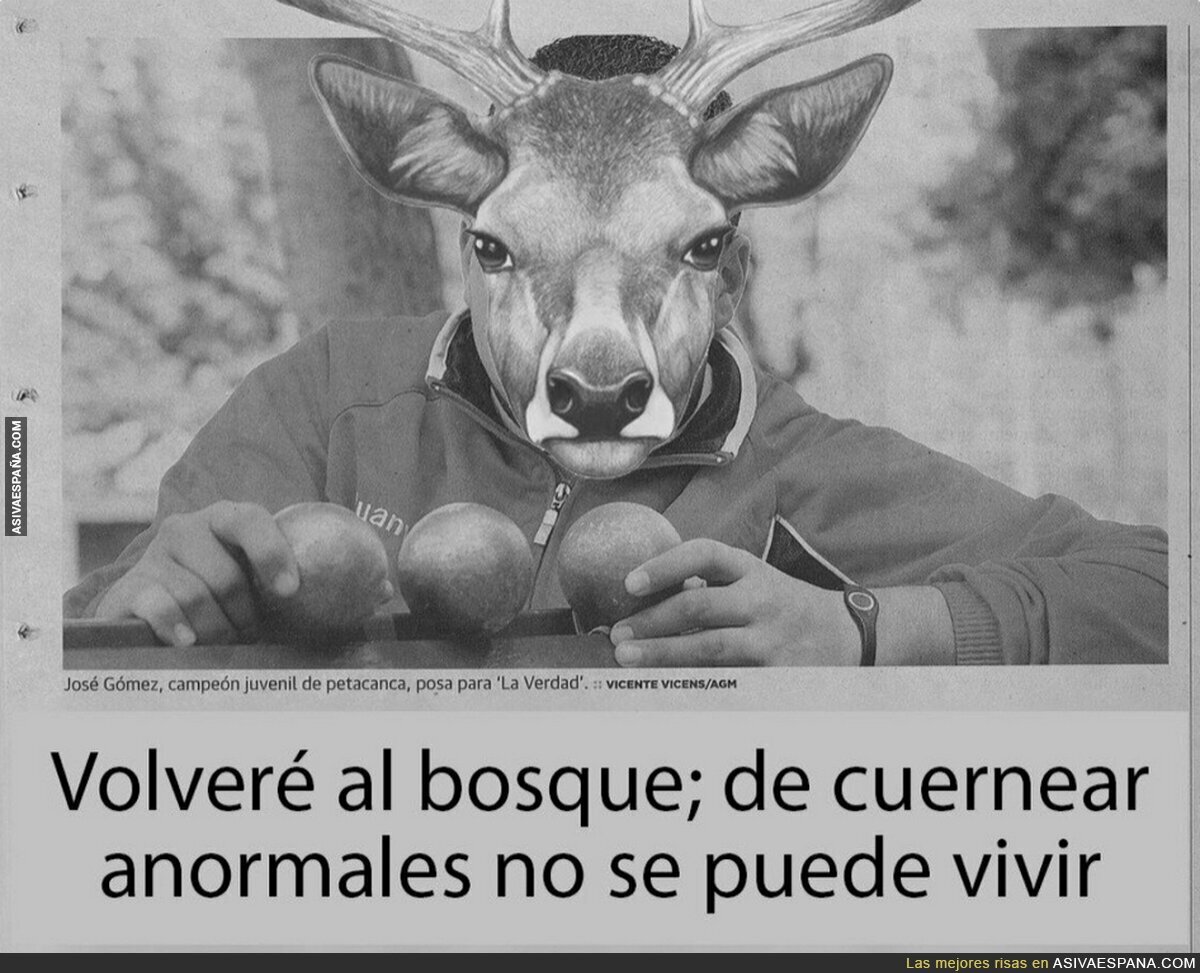 El ciervo vuelve a su vida normal