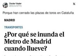 Catalunya es la responsable de todo lo malo