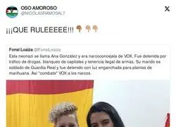 La cara oculta de VOX