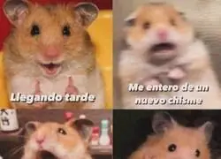 Un d&iacute;a en la jornada laboral