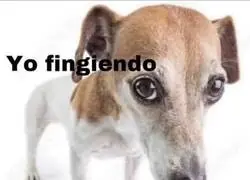 En verdad todos deseamos esa casa