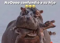 Peque&ntilde;a confusi&oacute;n