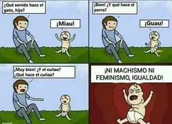 As&iacute; suenan el 8M y el resto del a&ntilde;o