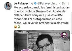 Goku gan&oacute; al feminismo