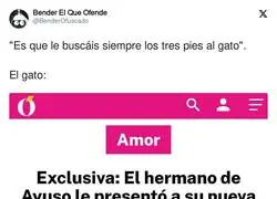 Vaya todos metidos en el l&iacute;o