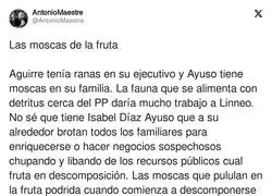 Todo huele mal con Isabel D&iacute;az Ayuso