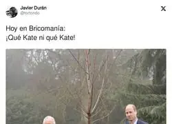 &iquest;D&oacute;nde est&aacute; Kate?